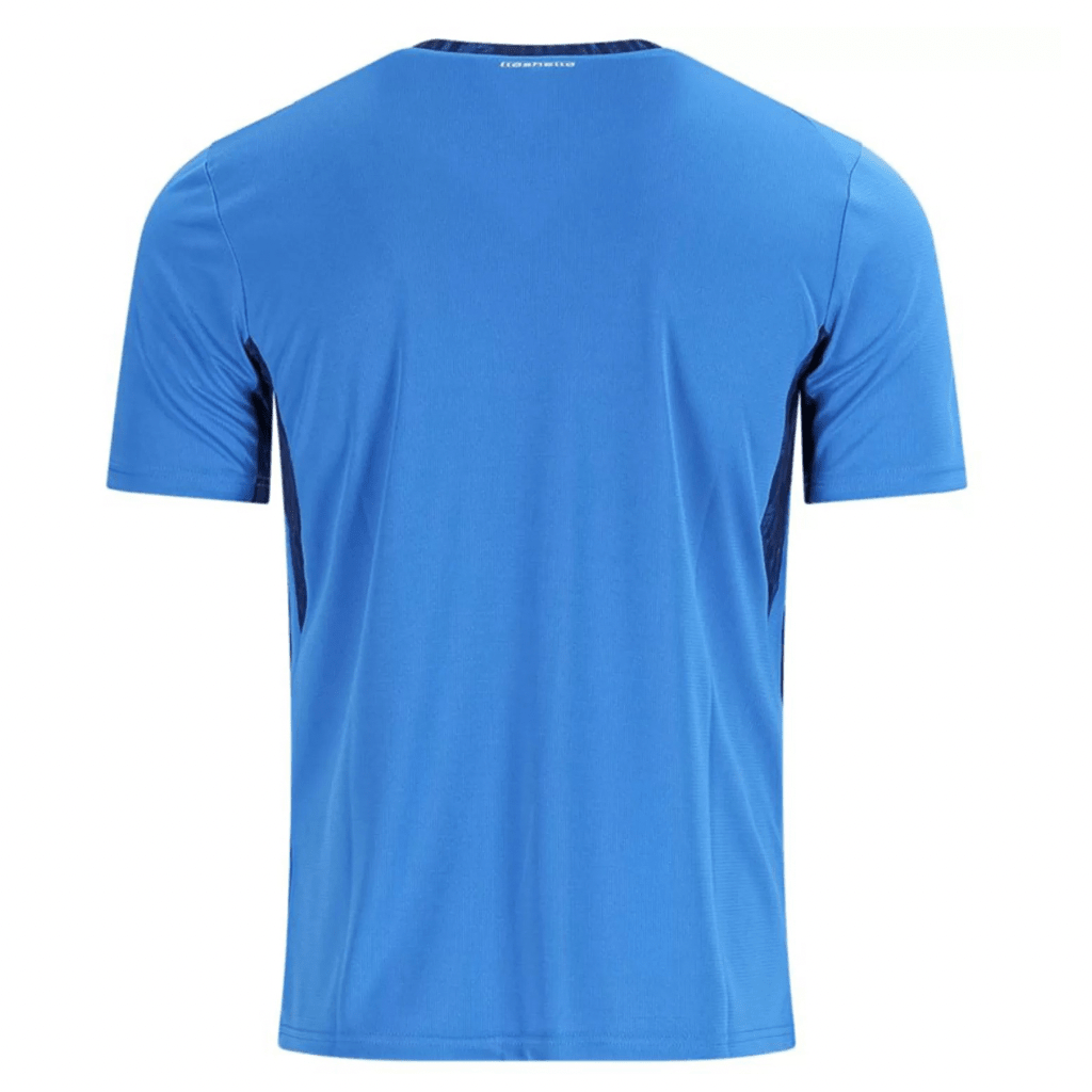 Island Heimtrikot 2026/27 Herren Fan-Version