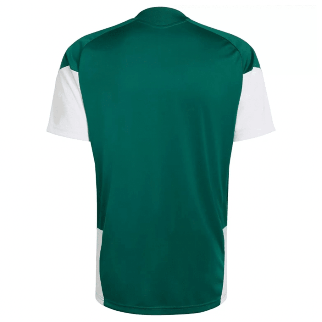 Italien Training 26/27 Herren Fantrikot Grün