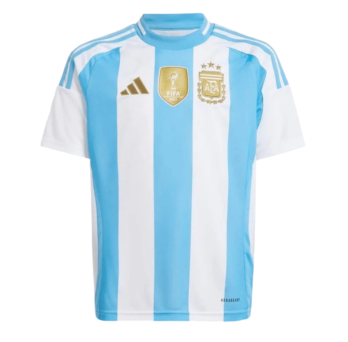 Argentinien Heimtrikot 24/25 Herren Fan-Version Weiß und Blau