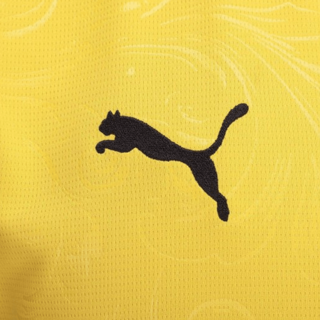 Borussia Dortmund Heimtrikot 2025/26 Herren Fan-Version