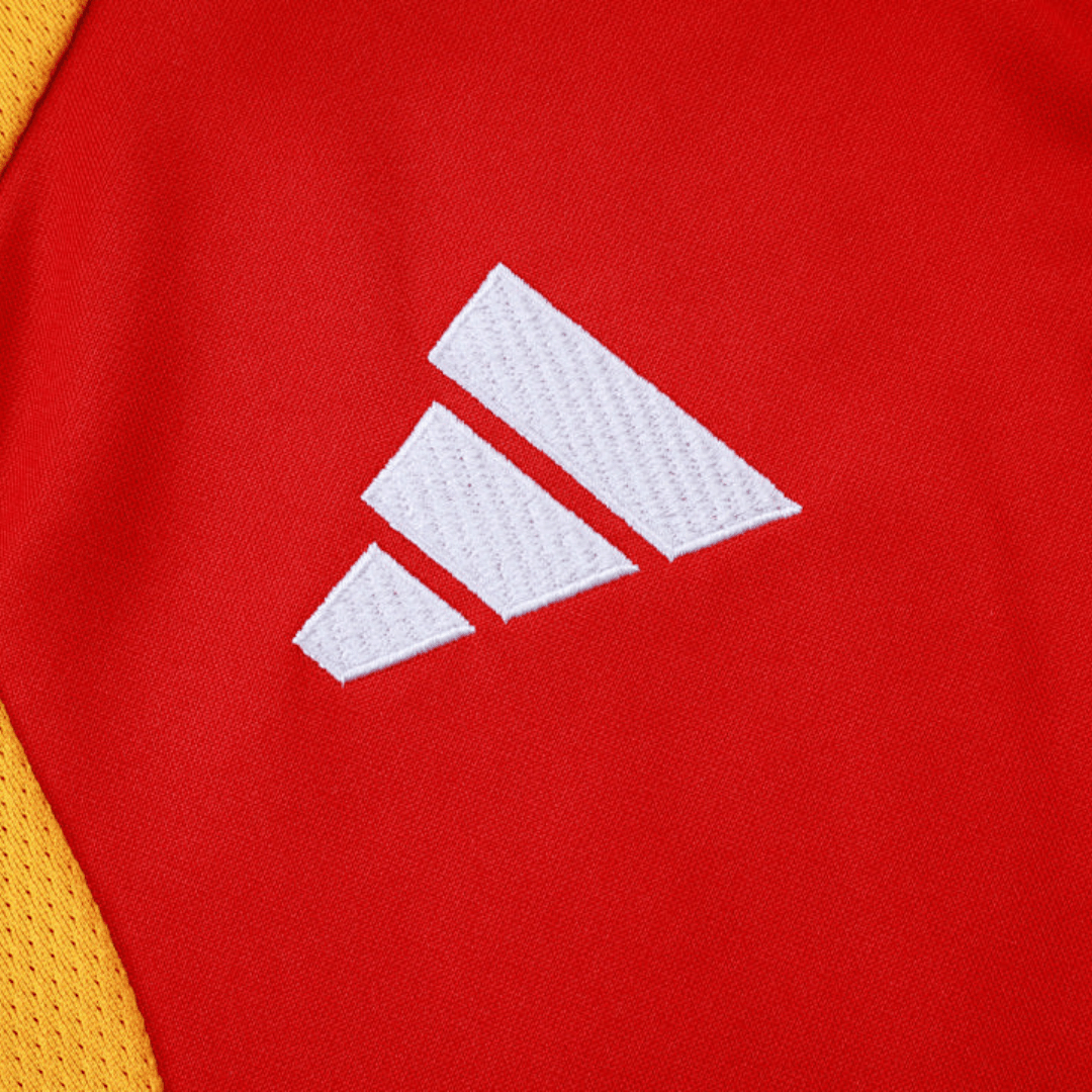 Deutschland Trainingsjacke 2026/27 Herren Rot