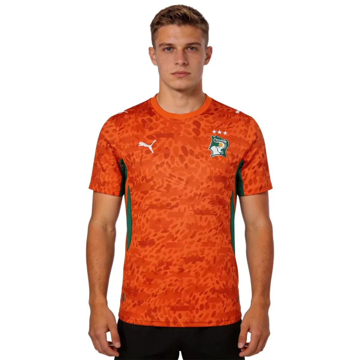 Elfenbeinküste Heimtrikot 26/27 Herren Fan-Version
