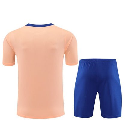 Frankreich Trainingsset 25/26 Trikot Salm und Shorts Blau