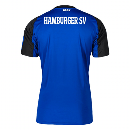 Hamburger SV Auswärtstrikot 2025/26 Herren Fantrikot