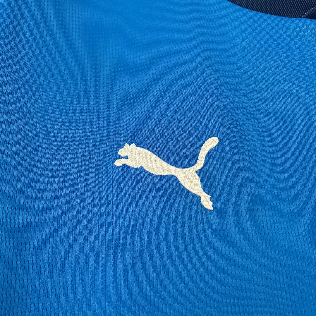 Island Heimtrikot 2026/27 Herren Fan-Version