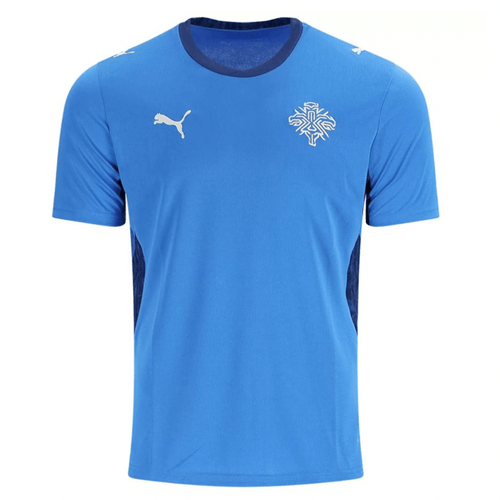 Island Heimtrikot 2026/27 Herren Fan-Version