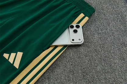 Italien Trainingsanzug 2026/27 Herren Jacke und Hose Grün