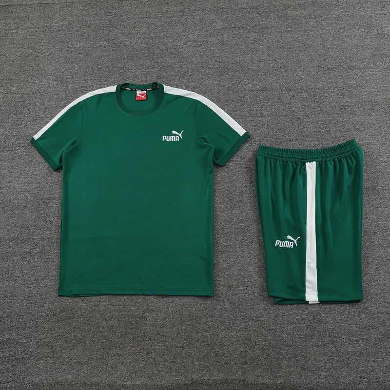 Puma Set Herren Trikot und Shorts