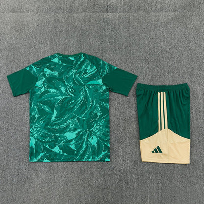 Real Madrid Trainingsset 2026/27 Trikot und Shorts Grün
