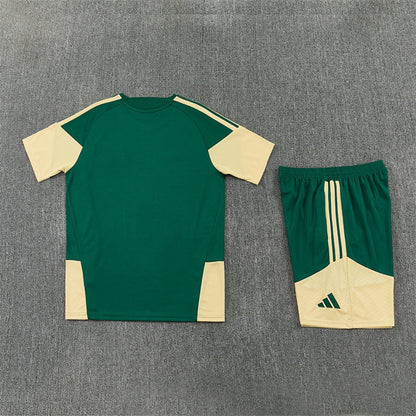 Real Madrid Trainingsset 26/27 Trikot und Shorts Grün