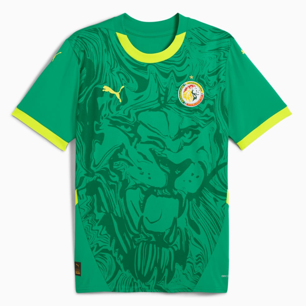 Senegal Auswärtstrikot 25/26 Herren Fan-Version