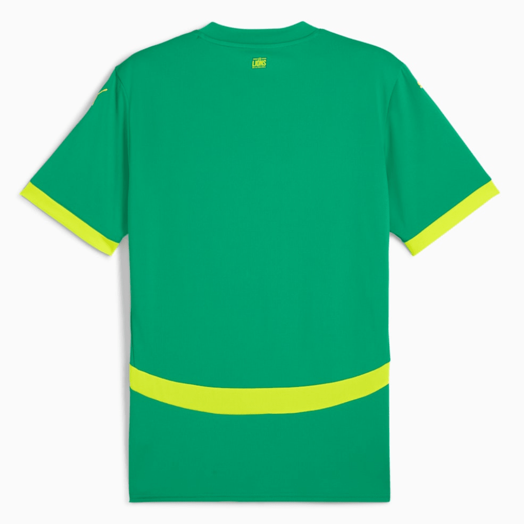 Senegal Auswärtstrikot 25/26 Herren Fan-Version