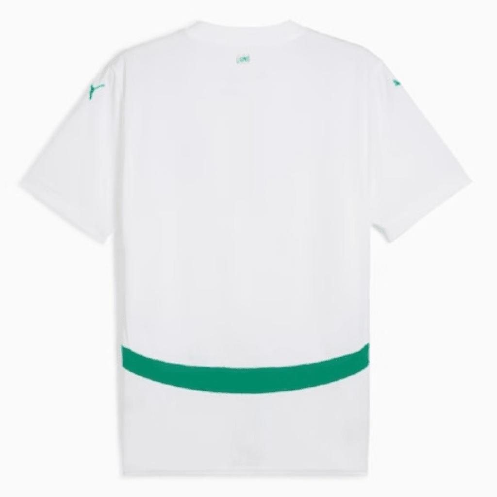 Senegal Heimtrikot 25/26 Herren Fan-Version