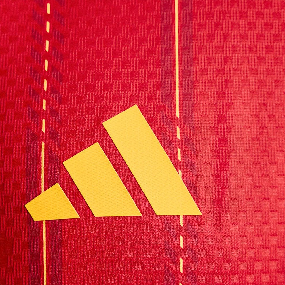 Spanien Heimtrikot 25/26 Herren Spieler-Version Trikot