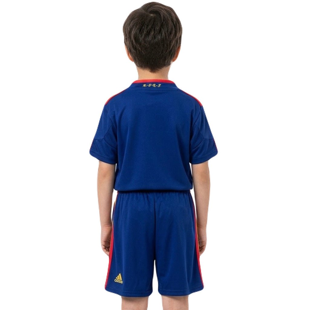Spanien Kinder-Set Auswärtstrikot 2010 Trikot und Shorts (Retro)